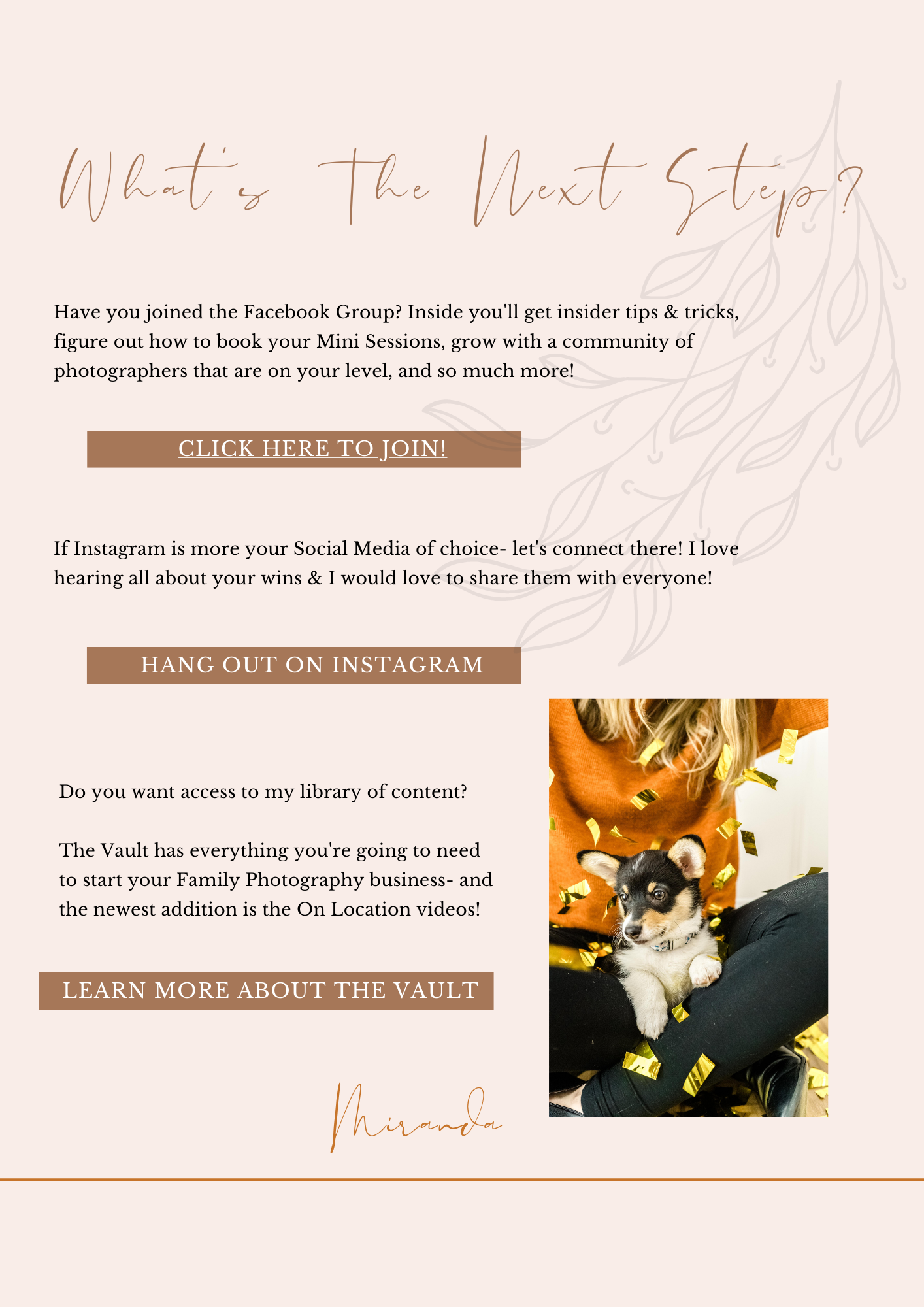The 6 Pillars of Mini Sessions